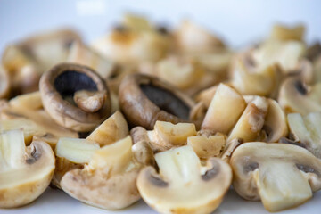 Fresh Paris champignon Agaricus Bisporus in selective focus