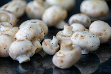 Fresh Paris champignon Agaricus Bisporus in selective focus