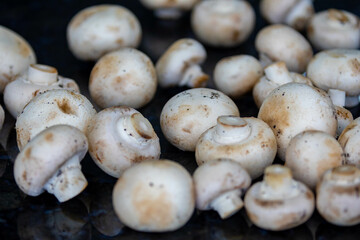 Fresh Paris champignon Agaricus Bisporus in selective focus