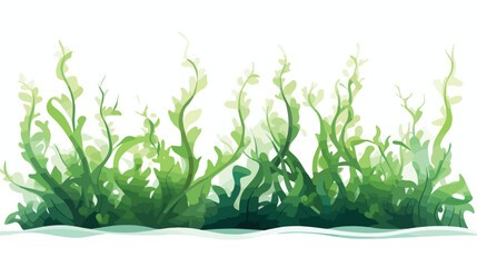 Underwater nature seaweed over white flat vector isolated