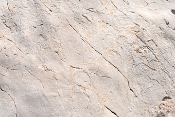 Detail of the stone surface on a sunny day
