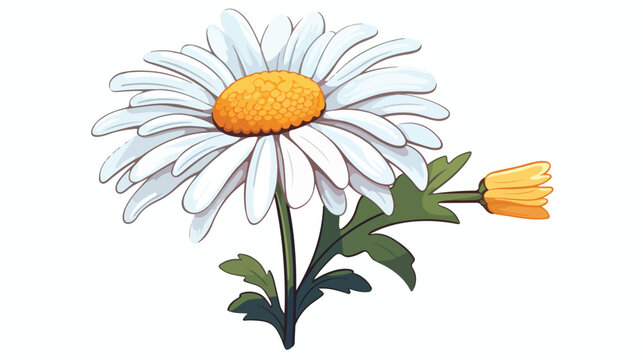 Vector cartoon drawing of a camomile on a white background