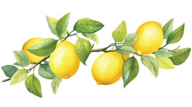 Watercolor hand drawn lemon clipart on white background