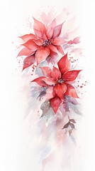 Winter poinsettia flowers and snowflakes on white background and the copy space