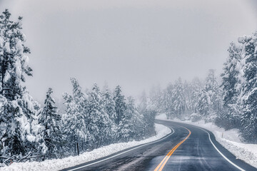 Snowy landscape in Colorado Springs