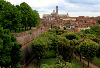Fototapeta premium Panoramic view of the historic part of the city of Siena with the Duomo di Siena and green trees and bushes in the foreground against a blue sky with clouds in the Tuscany region of Italy
