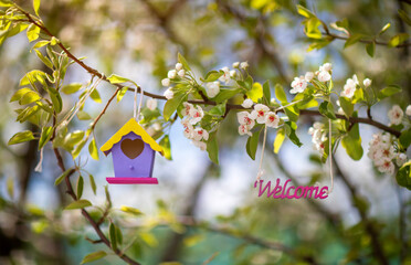 many colorful birdhouses stand in a sunny spring blooming garden waiting for the arrival of migratory birds - 759871022