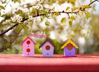 many colorful birdhouses stand in a sunny spring blooming garden waiting for the arrival of migratory birds