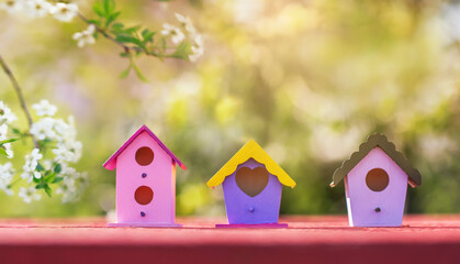 many colorful birdhouses stand in a sunny spring blooming garden waiting for the arrival of migratory birds