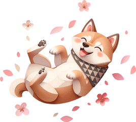Shiba Inu dog Rolling on the Ground in cherry blossom festival
