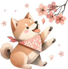 Shiba Inu dog Playing with Blossoms in cherry blossom festival