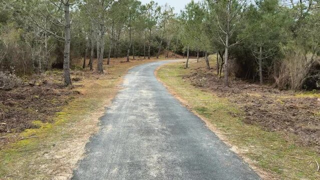 piste cyclable bitum&eacute;e sans personne virages - V&eacute;lodyss&eacute;e