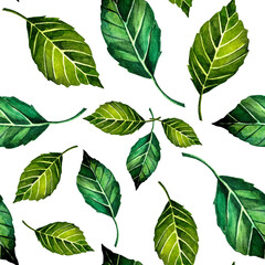 Watercolor seamless floral pattern. Doodle style. Hand-draw. Apple leaf pattern. 
