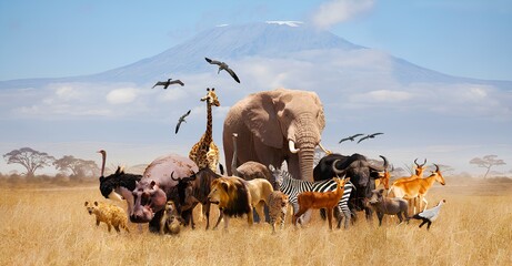 herd of elephants - obrazy, fototapety, plakaty