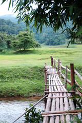 Bamboo bridge crossing canals and streams river and paddy field rice in tropical rain forest...