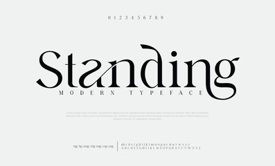 Elegant awesome alphabet letters font and number. unique serif font. Classic Lettering Minimal Fashion Designs. Typography fonts regular uppercase and lowercase. vector illustration