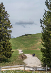 Piste carrossable du le plateau des Glières au Petit-Bornand-les-Glières, Haute-Savoie, France