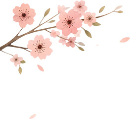 Cherry Blossom Branch 01