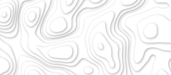 3d render, abstract white paper background. Paper cut vector art background banner texture. multi layer cutout geometric pattern on vector, Abstract soft white background with waves.