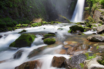 Fototapeta premium 秋保大滝【宮城県仙台市】