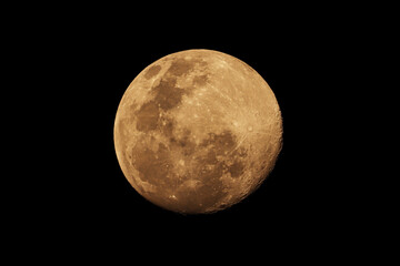 The Full Moon , Lunar , The Moon Rabbit 