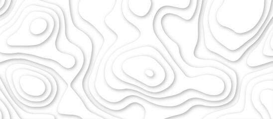 Fototapeta premium 3d render, abstract white paper background. Paper cut vector art background banner texture. multi layer cutout geometric pattern on vector, Abstract soft white background with waves.