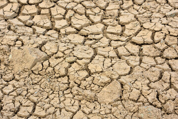 Dried and Cracking Mud Flat in a Dry Riverbed