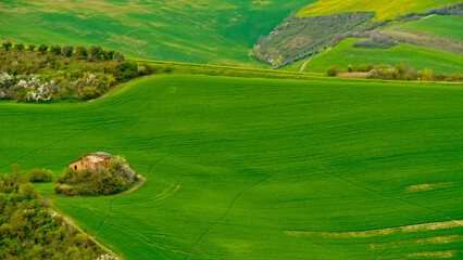 Panorama di colline e calanchi gessosi dell'Appennino Emiliano. Provincia di Bologna, Emilia...