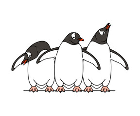 Fototapeta premium Subantarctic penguin or gentoo penguins. Animal, bird, avian, feathered, antarctica and nature, illustration