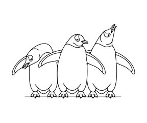 Subantarctic penguin or gentoo penguins. Animal, bird, avian, feathered, antarctica and nature, illustration