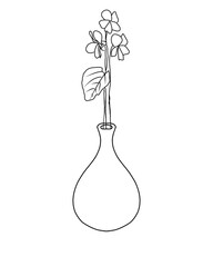 Set of botanical line art floral leaves, plants on pot vase. Hand drawn sketch branches isolated on transparent background.