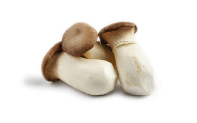 fresh eringi mushrooms, raw, royal oyster mushrooms, three pieces on a white background, isolate,...