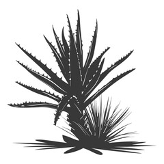 Naklejka na ściany i meble Silhouette Aloe vera tree in the ground black color only