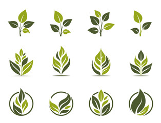 eco friendly icon set. green plant symbols. organic conceptual illustrations. isolated vector illustrations
