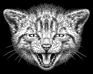 Vintage engraving isolated cat set illustration kitty ink sketch. Pet background kitten silhouette whisker art. Black and white hand drawn image