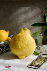 citron and lemon _still life_citrus fruits