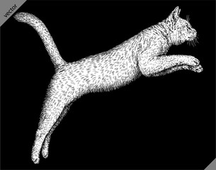 Vintage engraving isolated cat set illustration kitty ink sketch. Pet background kitten silhouette whisker art. Black and white hand drawn vector image