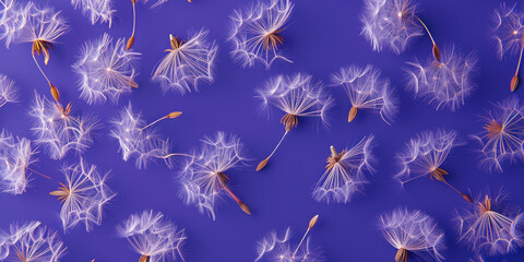 Beautiful Dandelions Scattered in the Breeze on Vibrant Purple Background, Top View Flat Lay Concept
