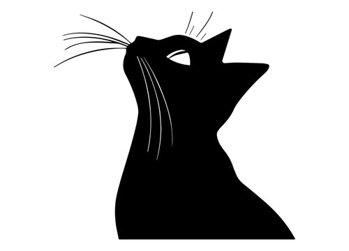 black cat silhouette looking at the sky vector