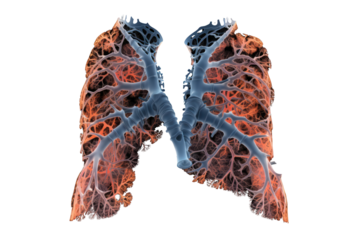AI models can use medical data and history of health changes to predict lung disease risk. and helps in planning the prevention and treatment of lung disease at a more advanced stage. Isolated on tran
