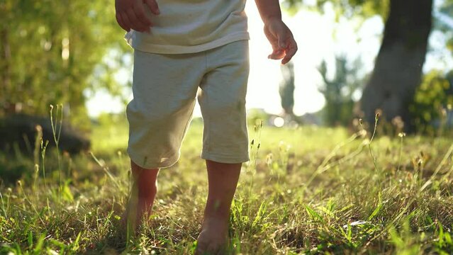 a child walks on the grass. concept of a happy childhood and loving family for a kid. a little child walks on green grass in a park, legs close-up, lifestyle sun glare on the background