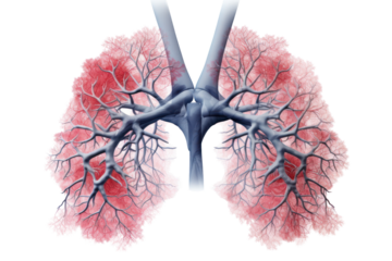 AI models can use medical data and history of health changes to predict lung disease risk. and helps in planning the prevention and treatment of lung disease at a more advanced stage. Isolated on tran