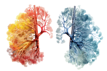 AI models can use medical data and history of health changes to predict lung disease risk. and helps in planning the prevention and treatment of lung disease at a more advanced stage. Isolated on tran