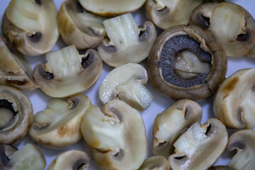 Fresh Paris champignon Agaricus Bisporus in selective focus