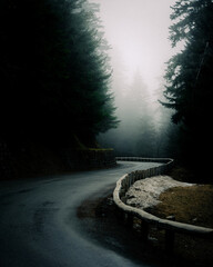 road in the forest with mist or fog