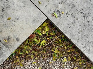 L'angolo di una aiuola con delle foglie, diventa creativo e geometrico.