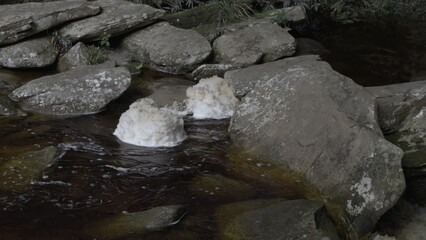 Swirling River Foam Over Large Rock in Forested Area