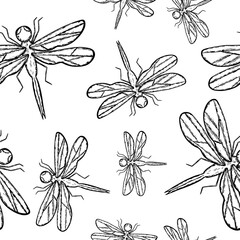 Seamless background with dragonfly insect in hand drawn sketch style