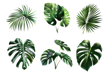 A bunch of tropical plant leaves on a transparent background. Fresh green leaves for a natural product themed design material. Created with Generative AI.