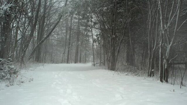 POV walking in snow storm on a hiking trail, blizzard in the forest path. Snowflakes falling down in the pine trees at winter on the trail for walking. Nature weather scenery background snowstorm.